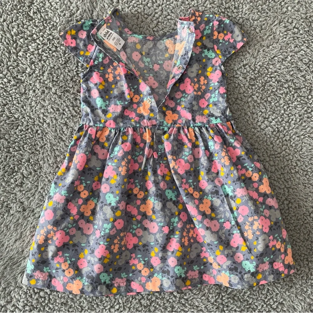 Carter's Baby Girls Outfit 18 months Floral